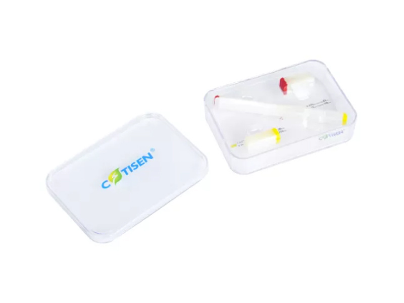 Kit de Bandas de Matriz de Resina