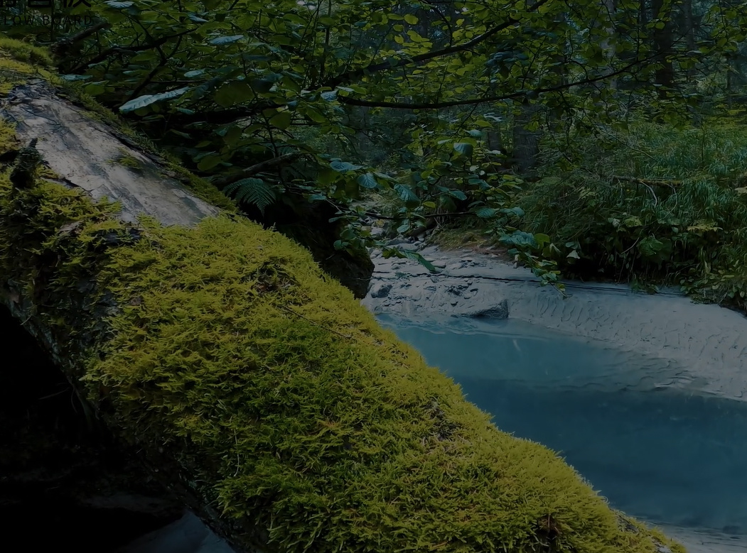 臻香杉馆（福建）运营管理有限公司
