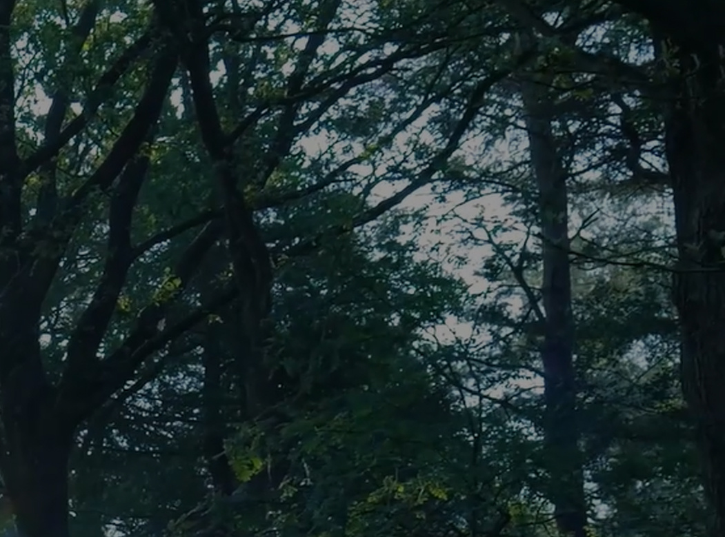 臻香杉馆（福建）运营管理有限公司
