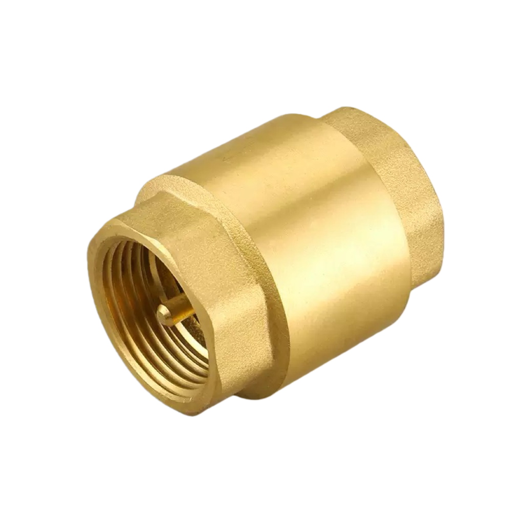 Vertical Check Valve