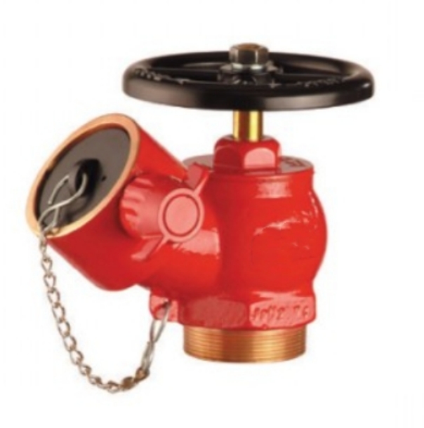 Screw Landing Valve