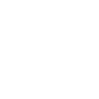 向上