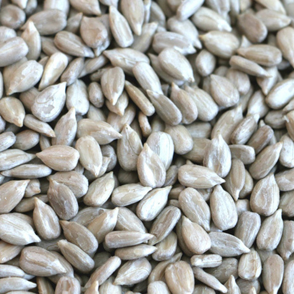 Sunflower seeds