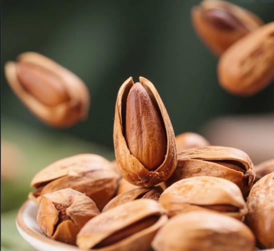 Pine Nut