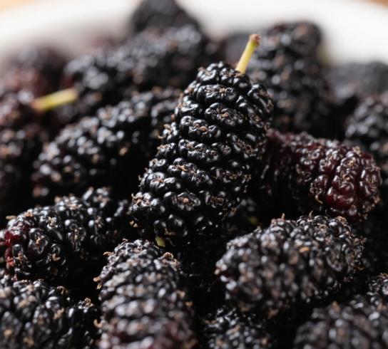 Freeze - dried Mulberry