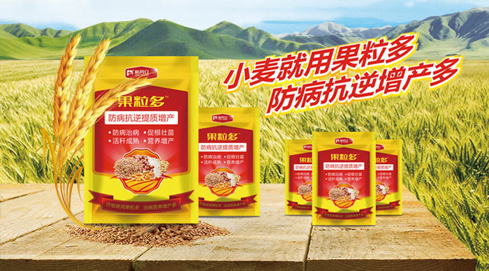 山東新勢立清河“果粒多”小麥增產(chǎn)套餐啟動會