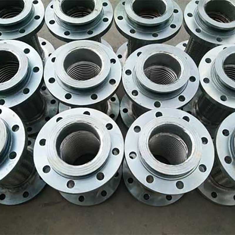 Galvanized flange metal hose