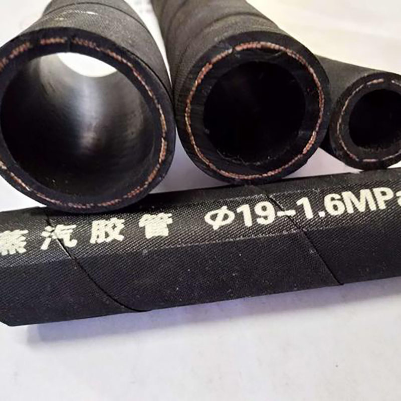 Steam hose