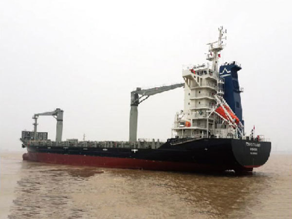 660TEU Container Vessel