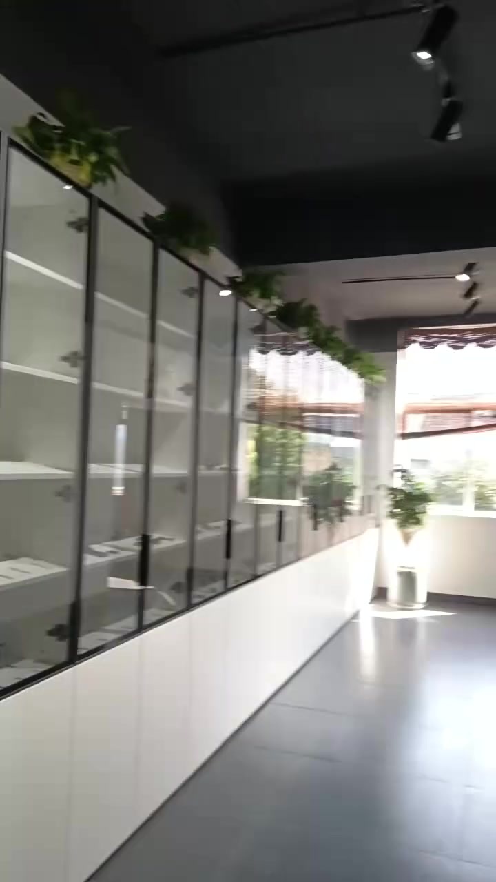 8cf717faa01e9d338b5d8a7d636555ff.mov