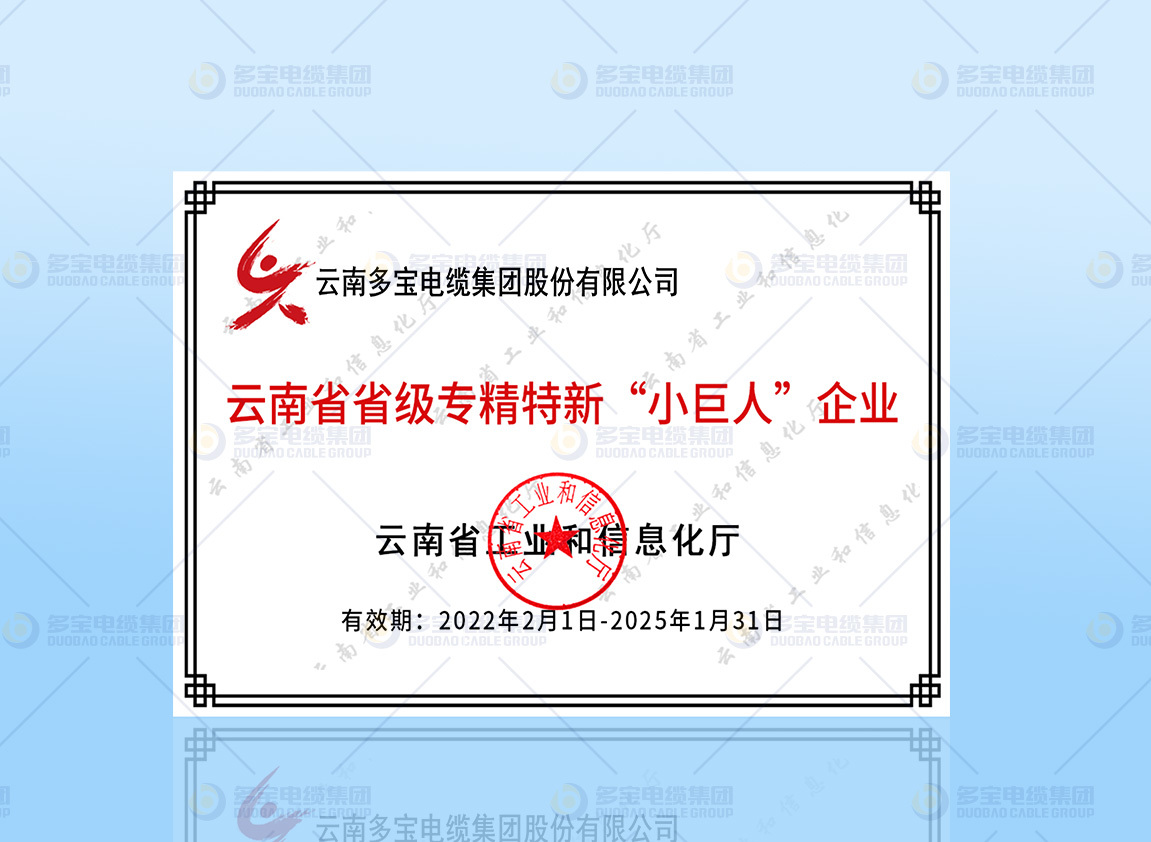 云南省级专精特新“小巨人”企业