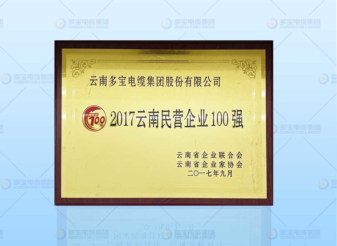 2017云南民营企业100强