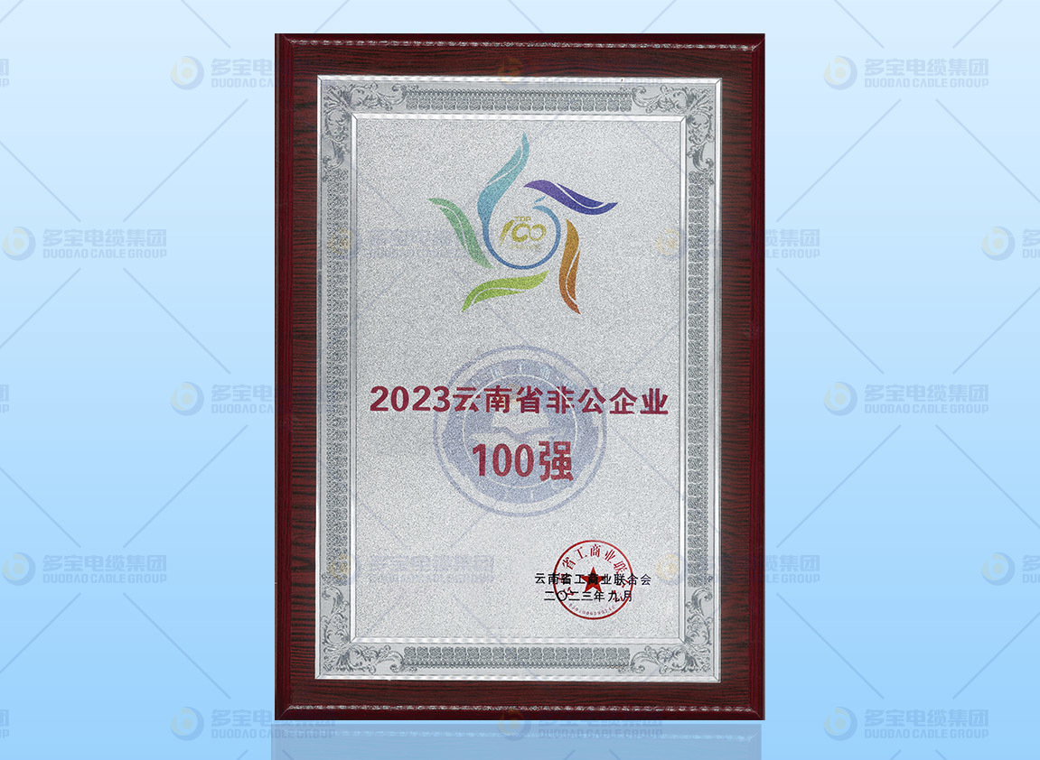 2023云南省非公100强企业