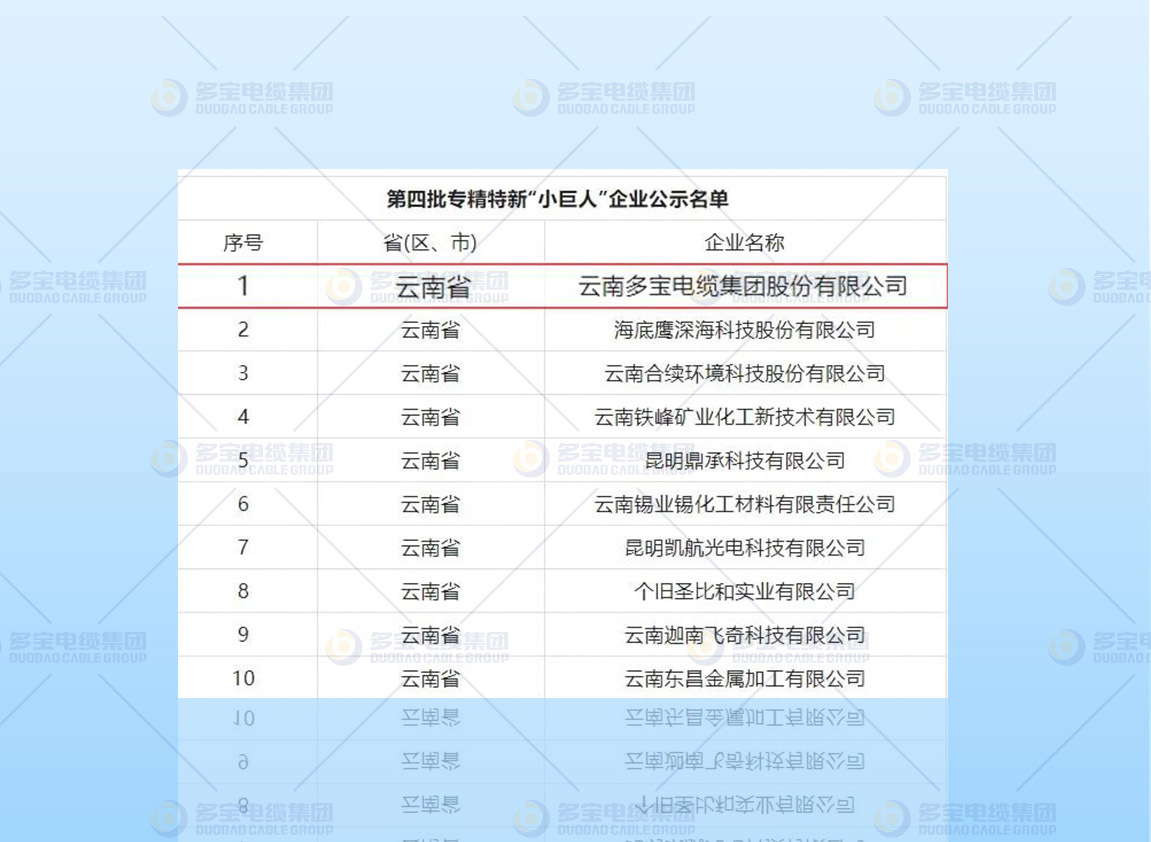 国家级专精特新“小巨人”企业