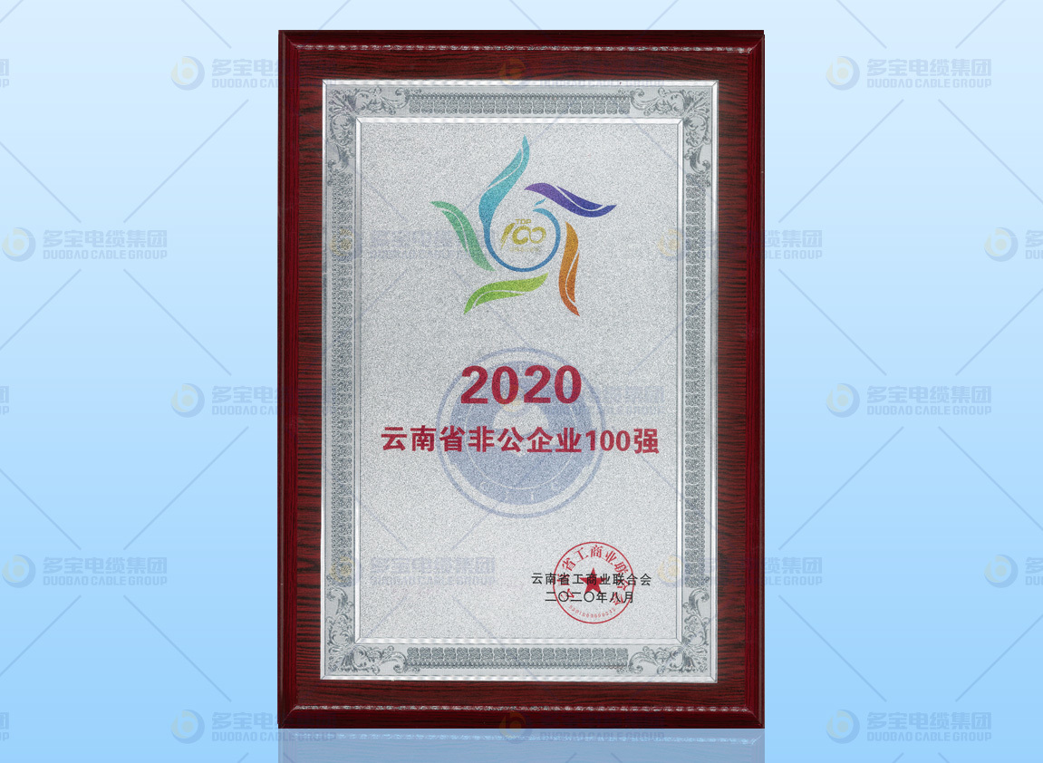 2020云南省非公100强企业