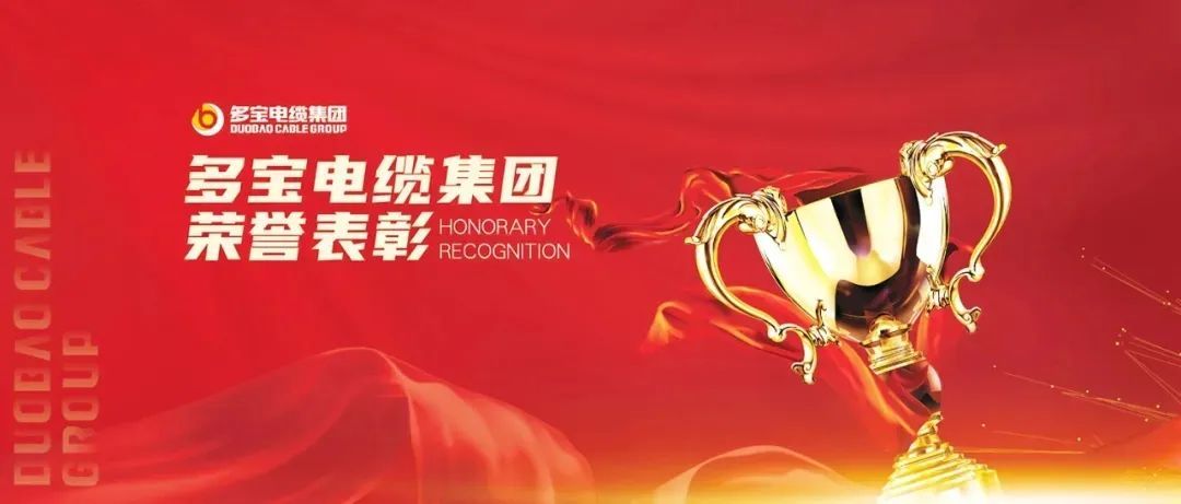 多宝电缆集团一季度表彰丨以奋斗为桨，扬帆新征程