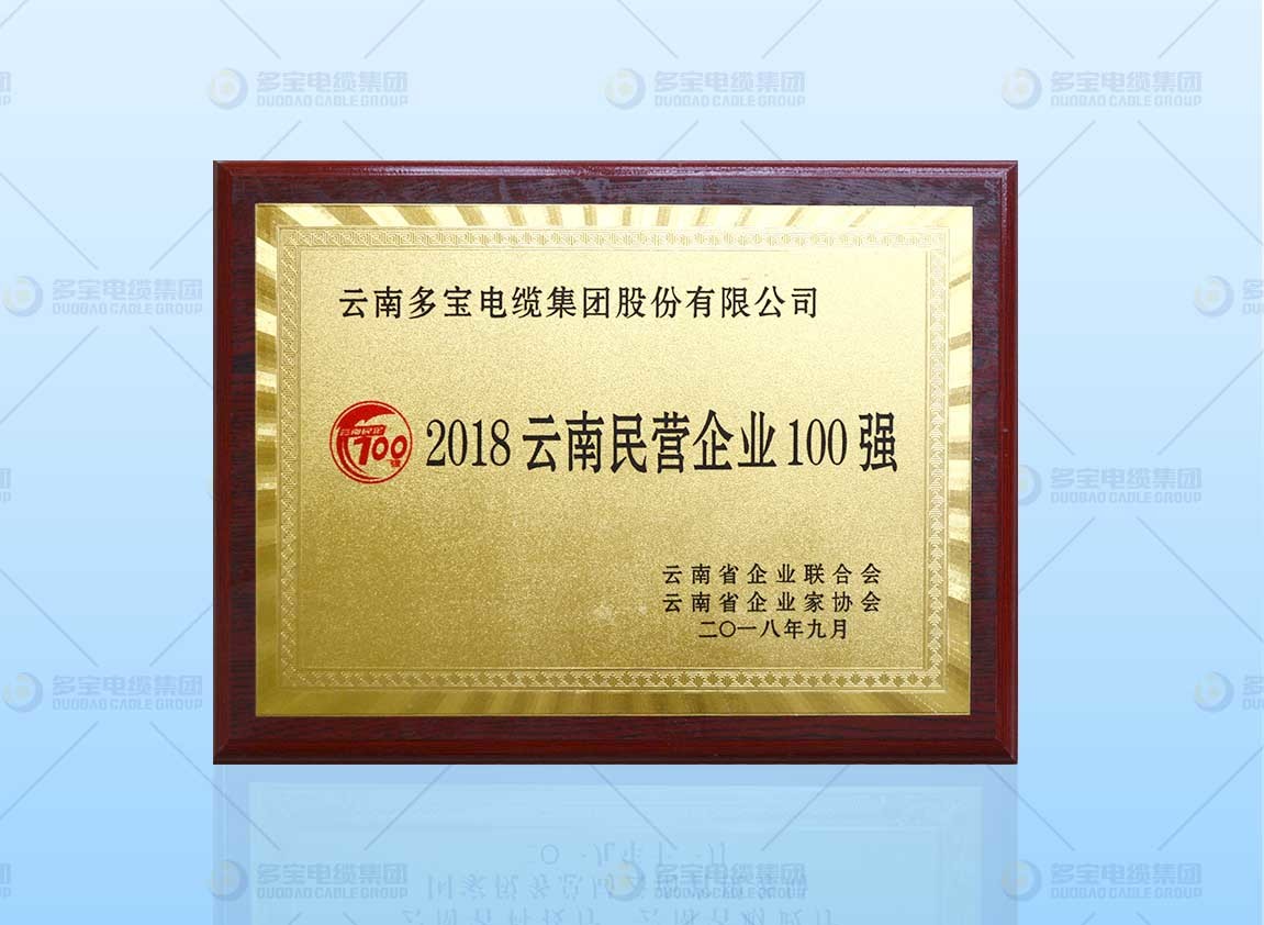 2018云南民营企业100强
