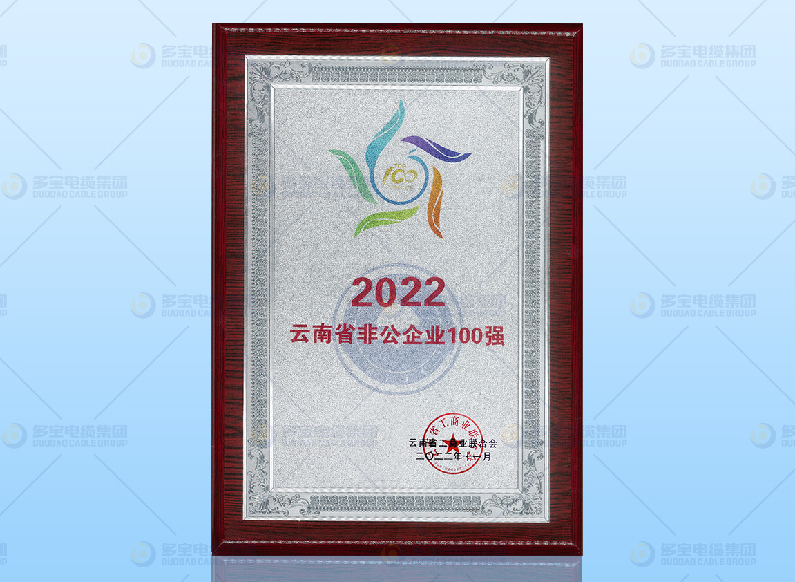 2022云南省非公100强企业