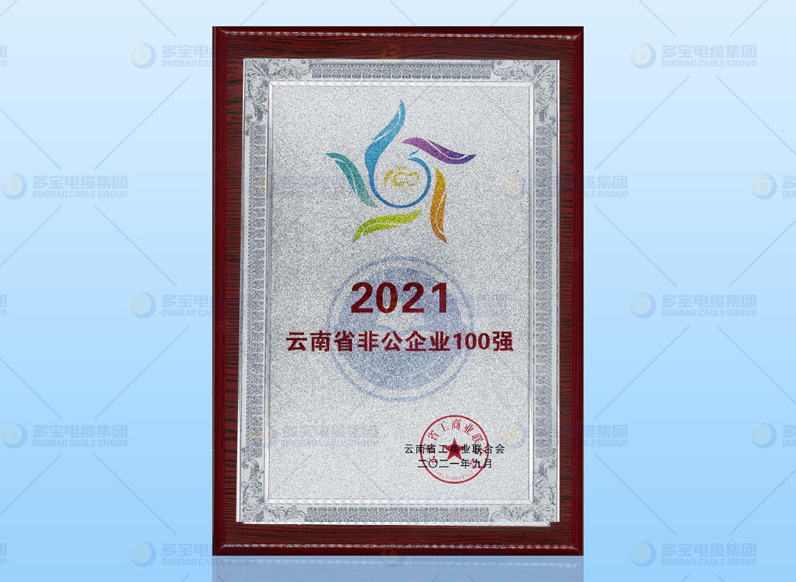 2021云南非公100强企业