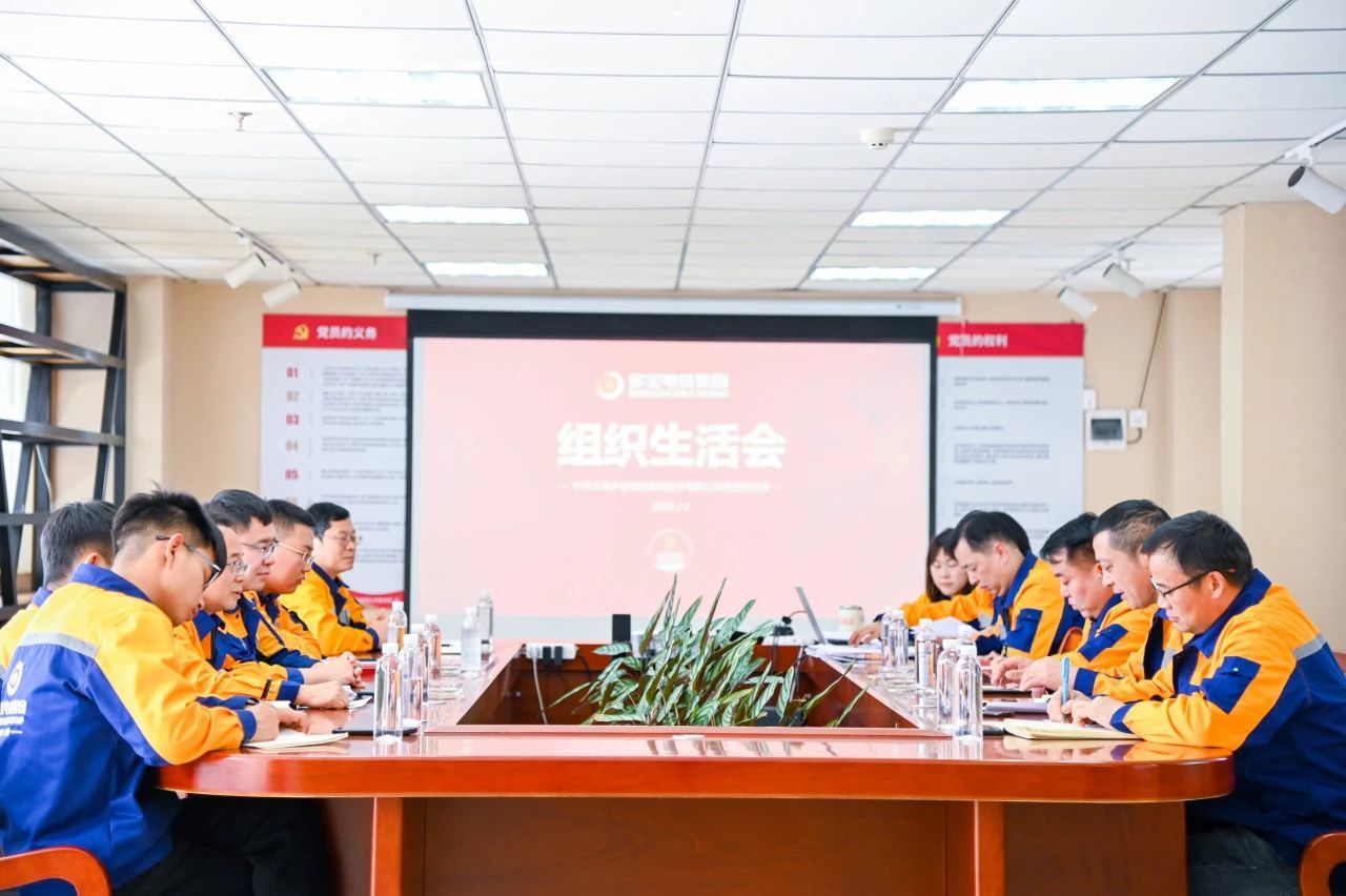 支部动态 | 多宝电缆集团党支部圆满召开2024年度组织生活会和开展民主评议党员