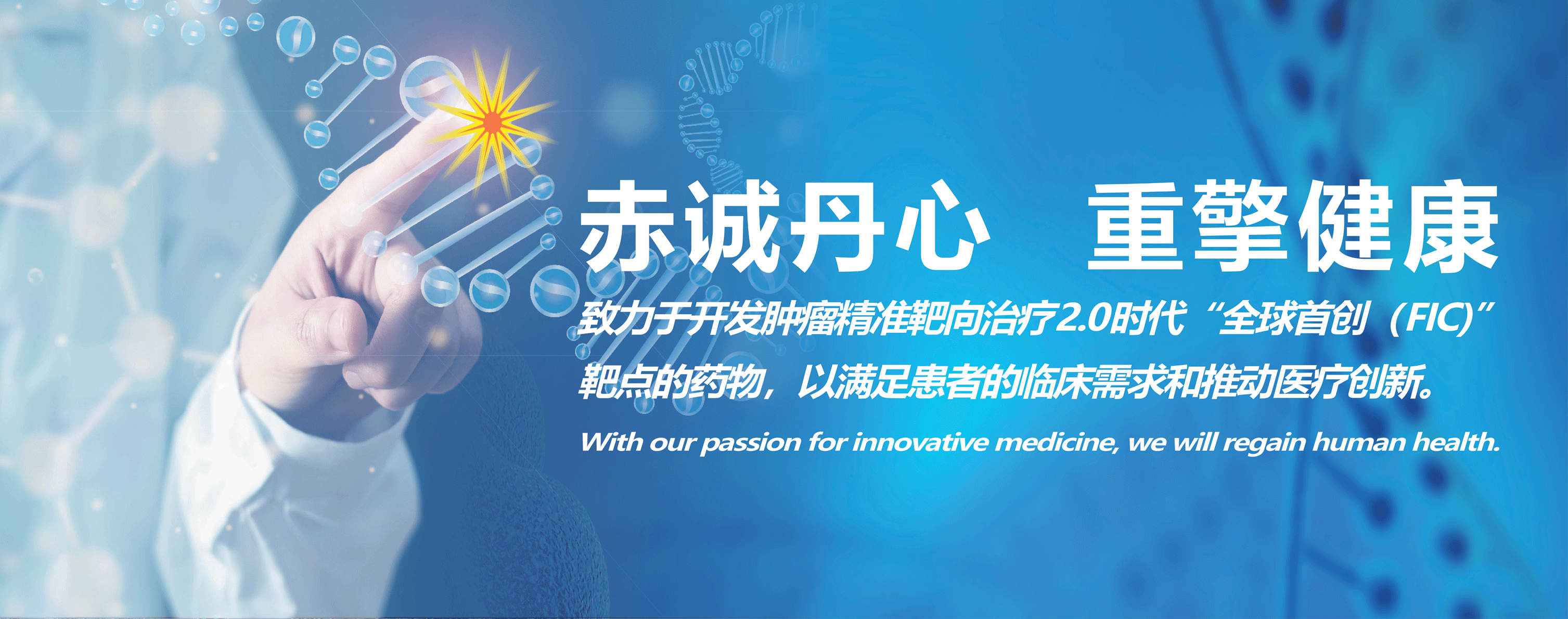 我们是一家致力于