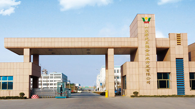 寿光金玉米公司