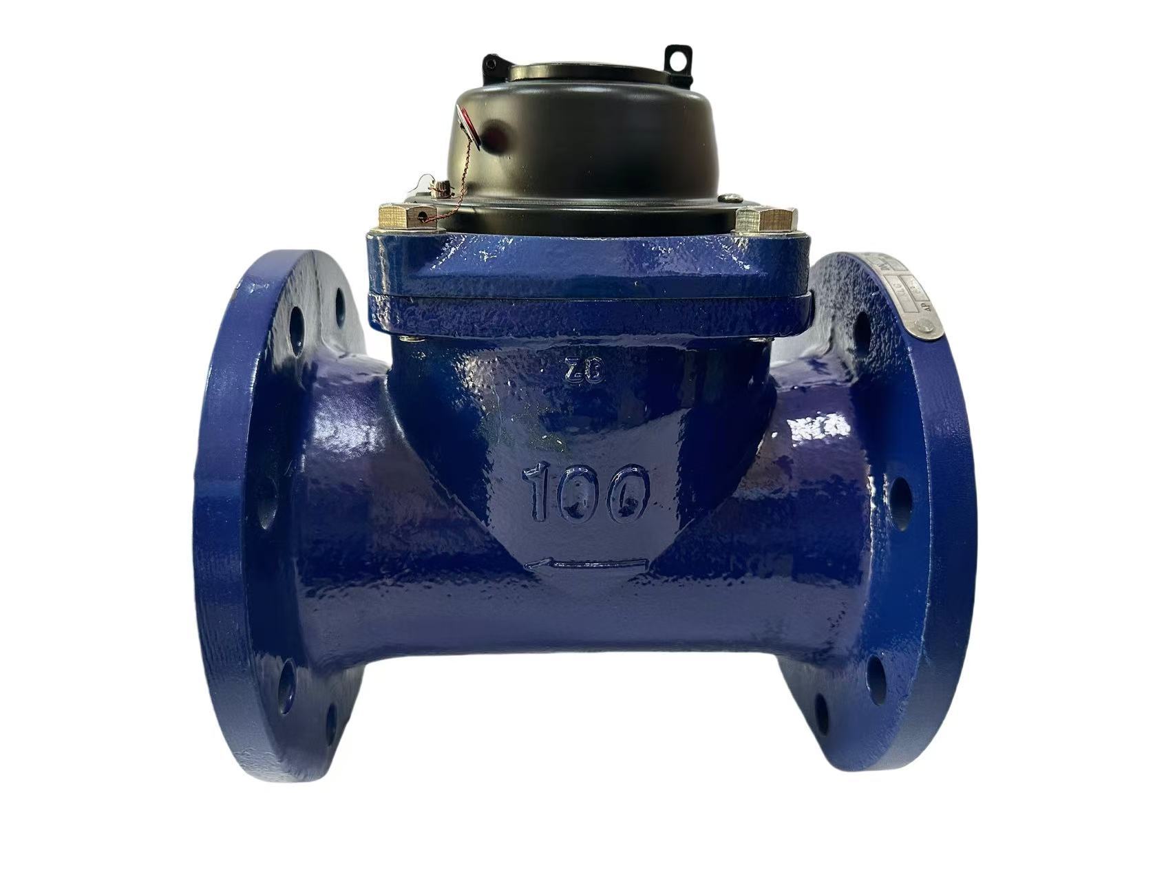 Medidor de agua de rotor seco desmontable (agua fría/agua templada)