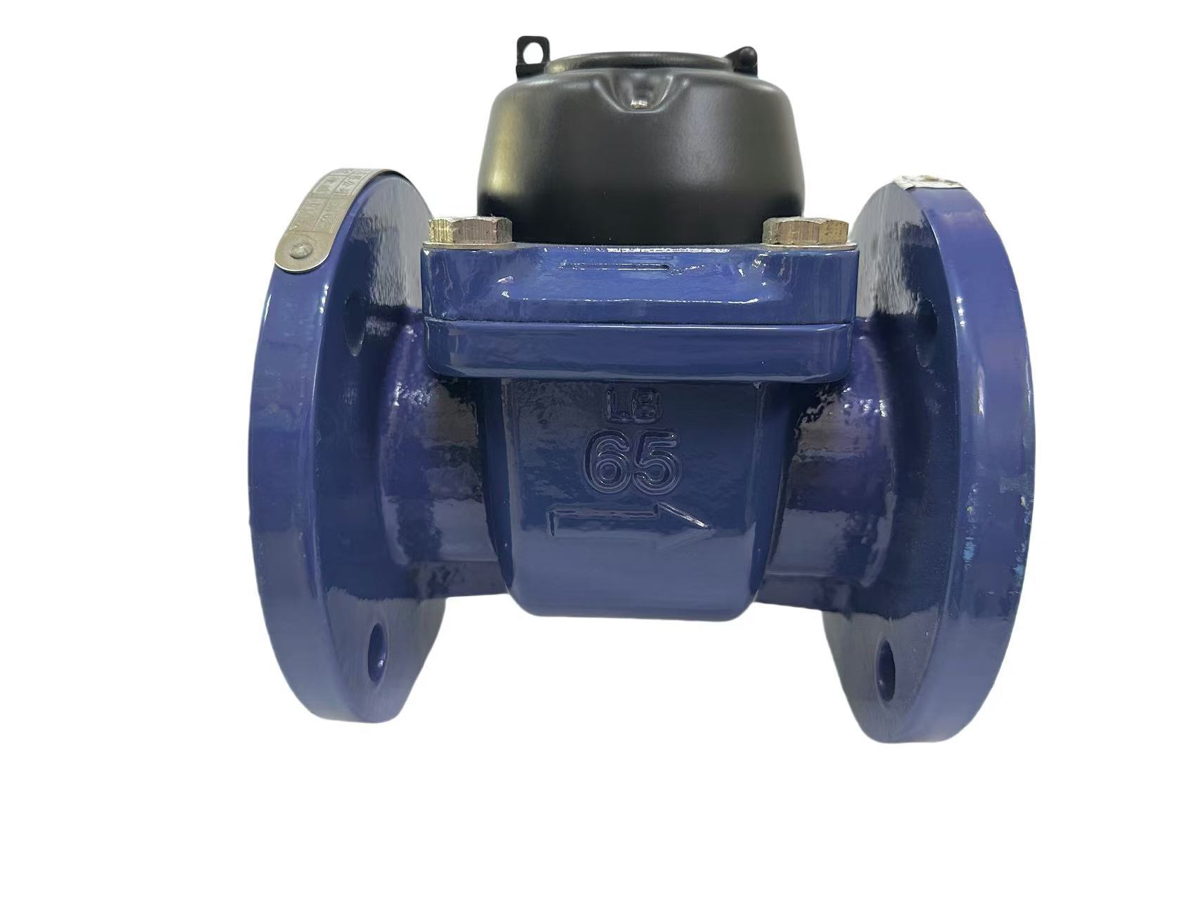 Medidor de agua de rotor seco desmontable (agua fría/agua templada)