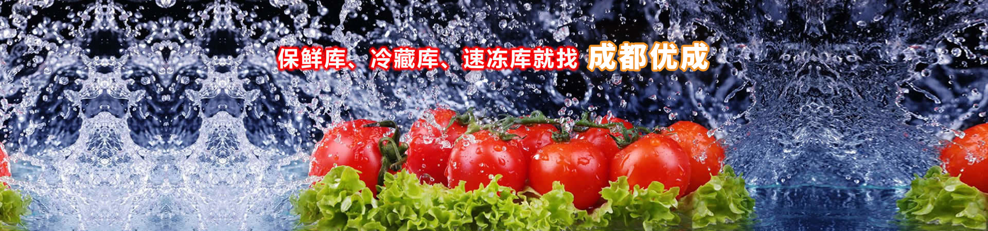 成都優(yōu)成制冷設(shè)備有限公司
