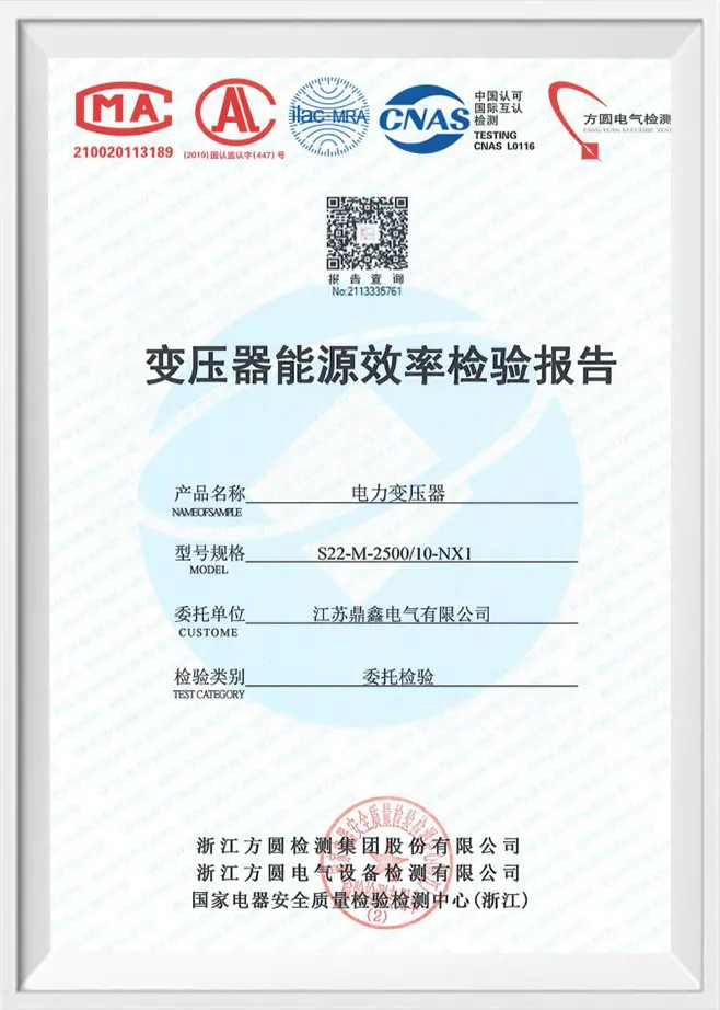 S22-M-250/10-Nx1 And Energy Efficiency Report