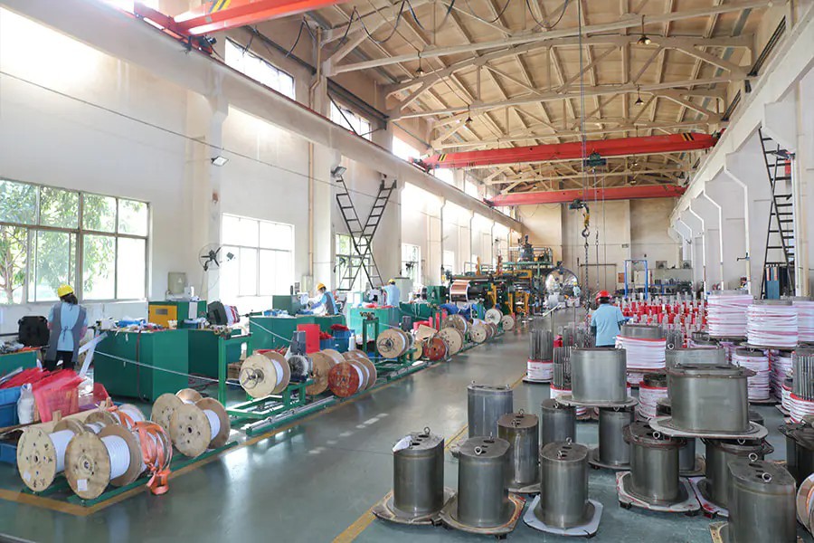 Workshops