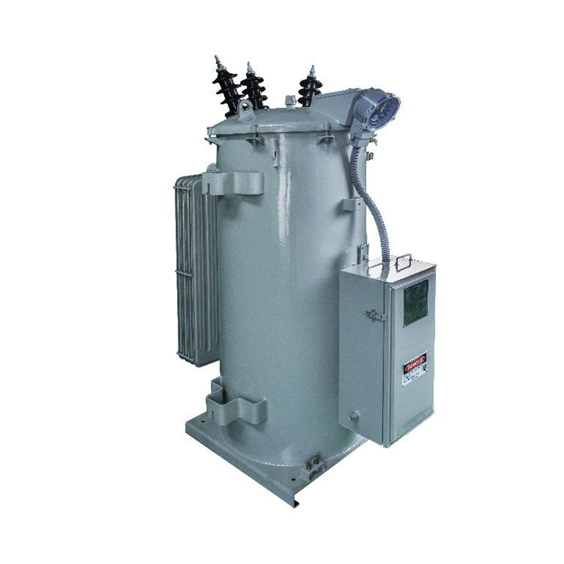 Single phase step voltage regulator