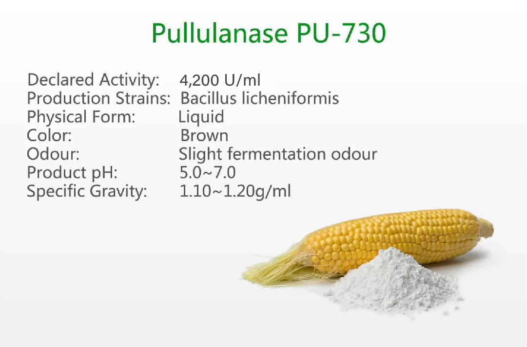 Pullulanase PU-730