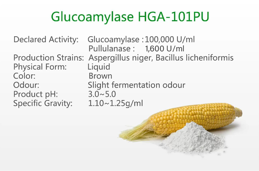 Glucoamylase HGA-101PU