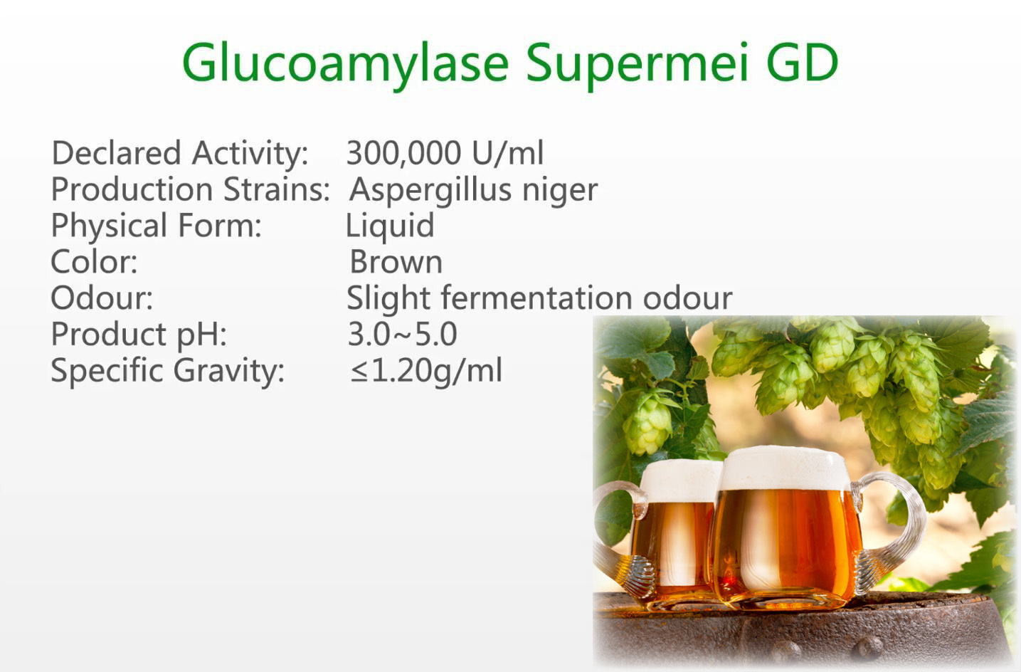 Glucoamylase SUPERMEI GD