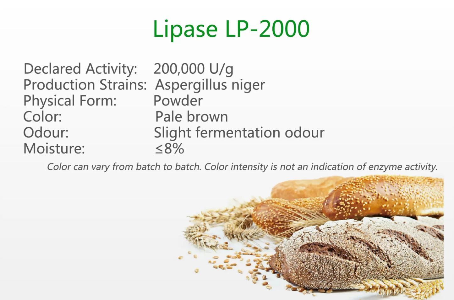 Lipase LP-2000
