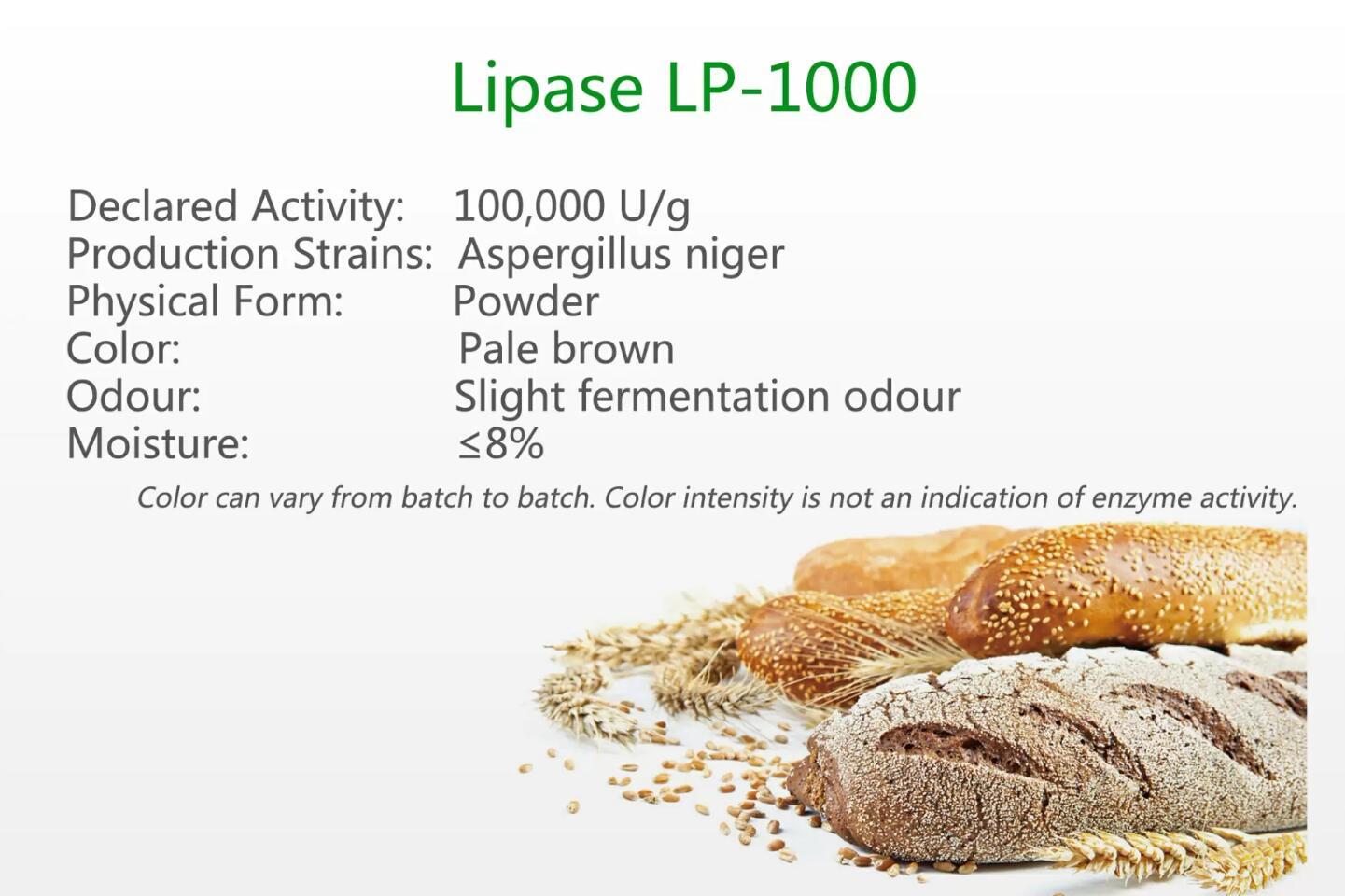 Lipase LP-1000