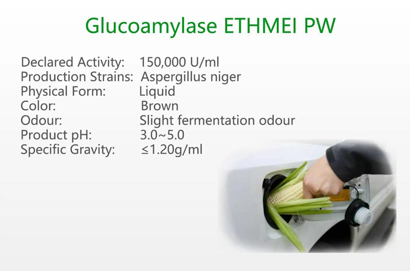 Glucoamylase ETHMEI PW