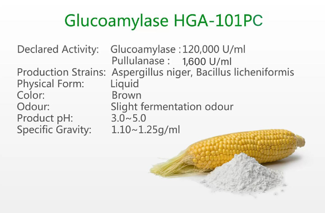 Glucoamylase HGA-101PC