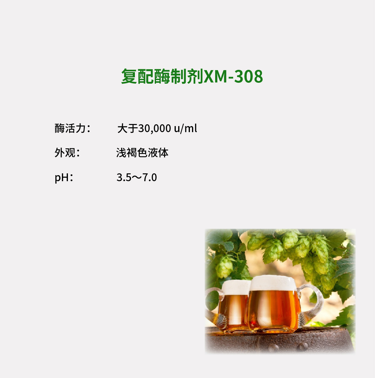 木聚糖酶XM-308