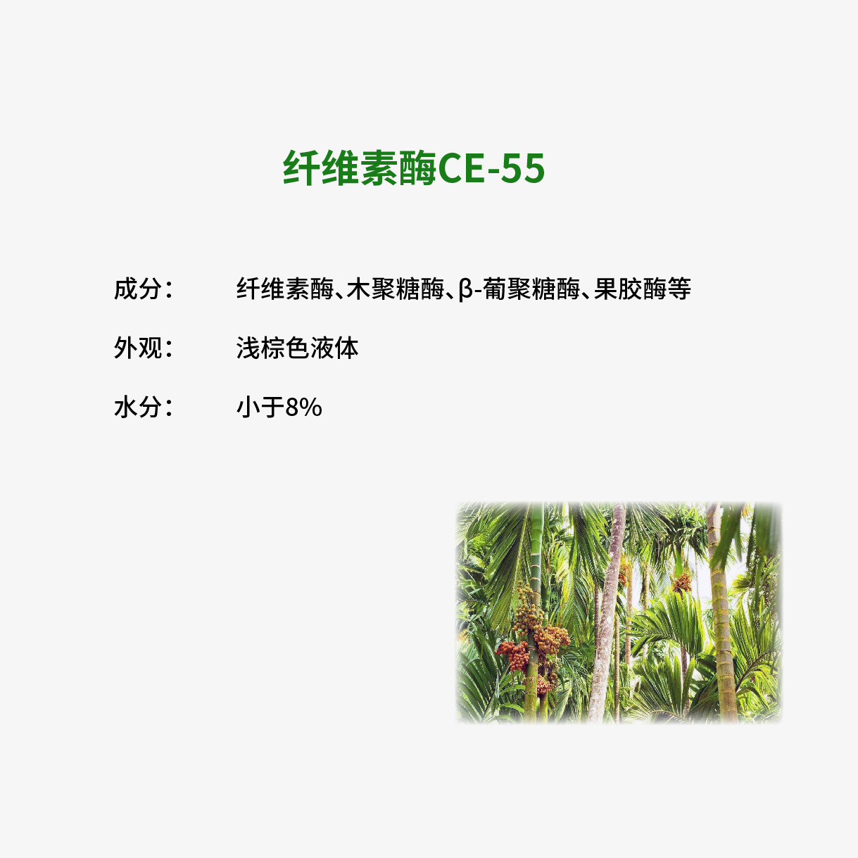 纤维素酶CE-55