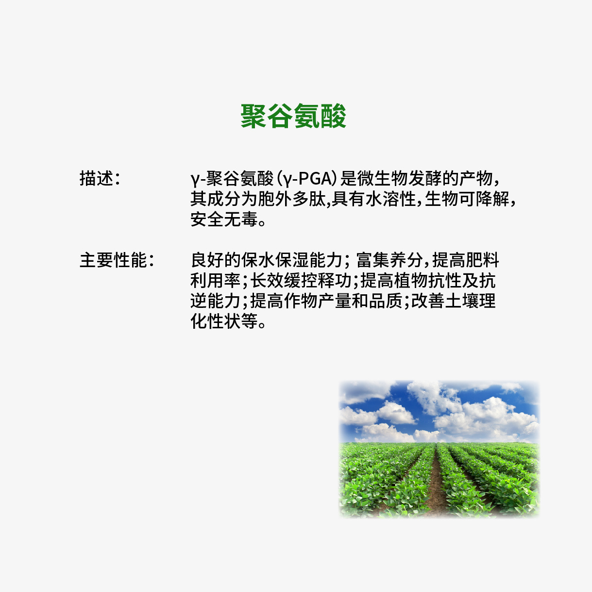聚谷氨酸