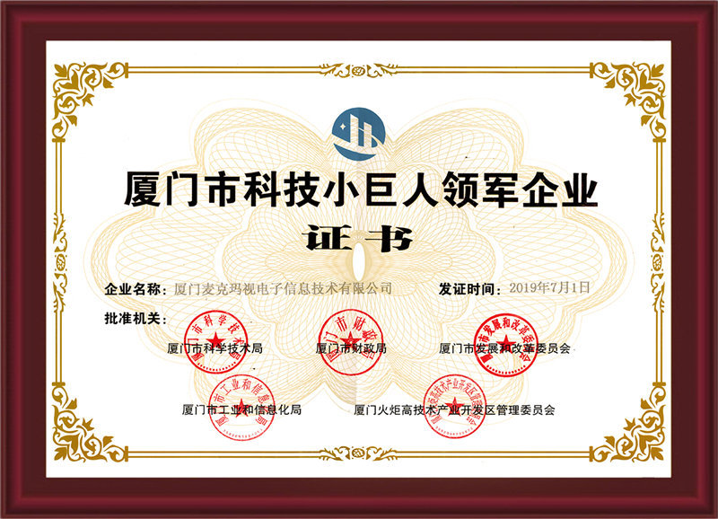 科技小巨人领军企业证书