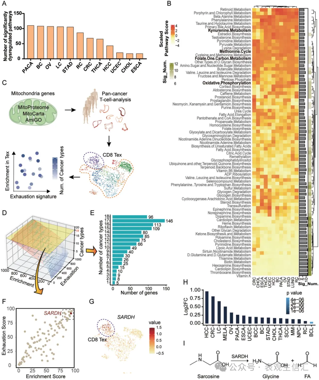 张泽民院士最新nature子刊，以scRNA-seq筛靶+CUT&Tag-seq 解析机制，打造代谢-表观调控抗癌研究典范