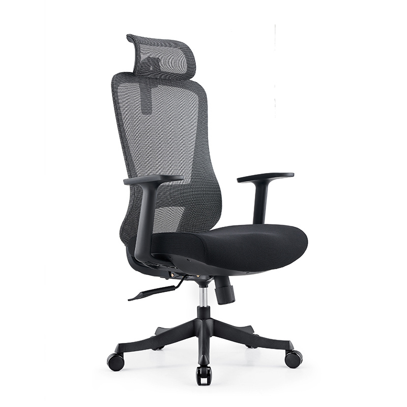 Adjustable Lumbar Support Ergonomic Chair