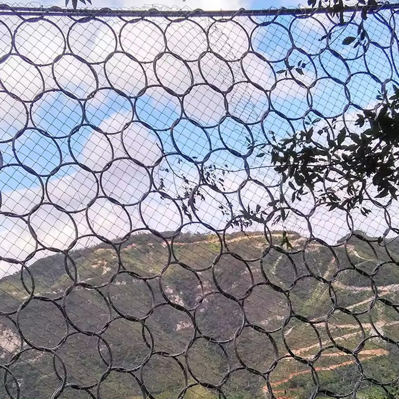 Passive Protective Net-Ring Net