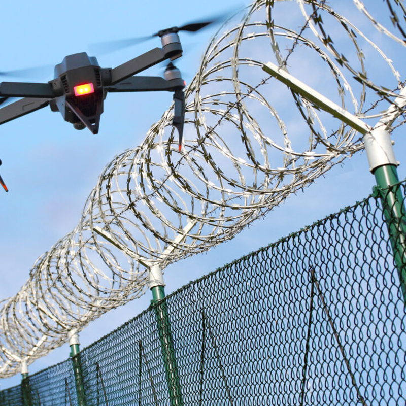 Electric Intelligence Fences