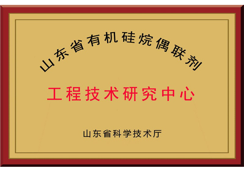 工程技術(shù)研究中心