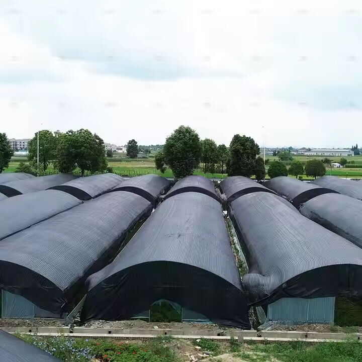 Pure black film