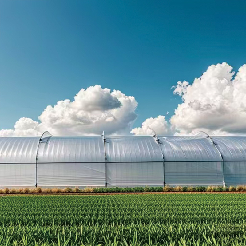 greenhouse film with anti-age function